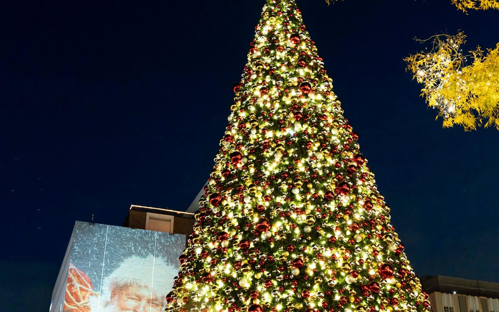 Tree Lighting Ceremony at Centennial Park