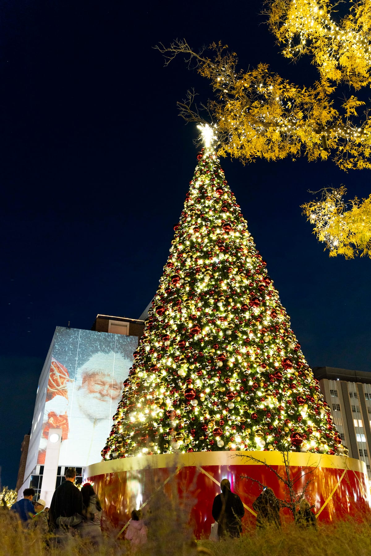 Tree Lighting Ceremony at Centennial Park