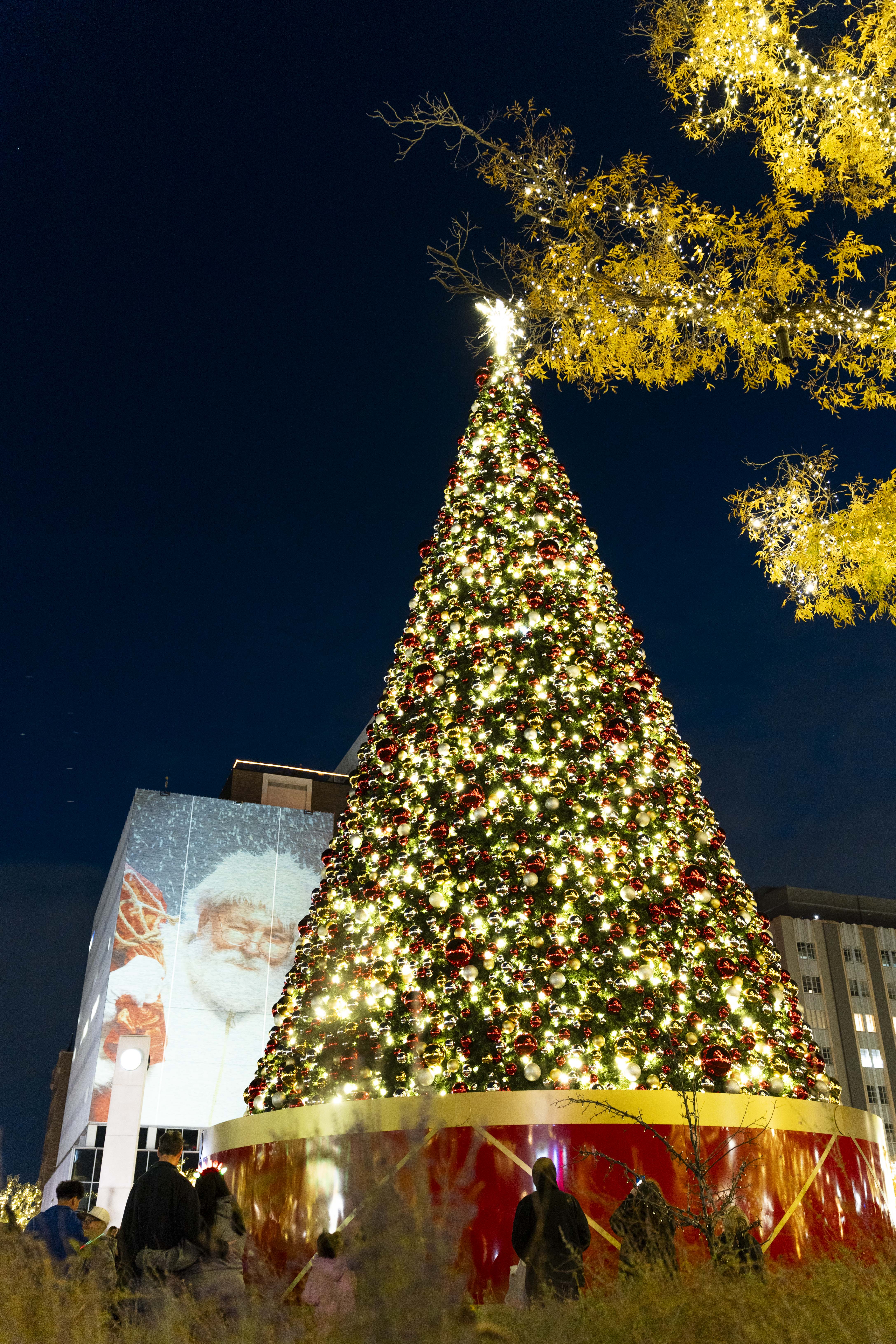 Holiday Market
